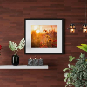 sunset meadow frame